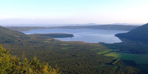 Lago vico